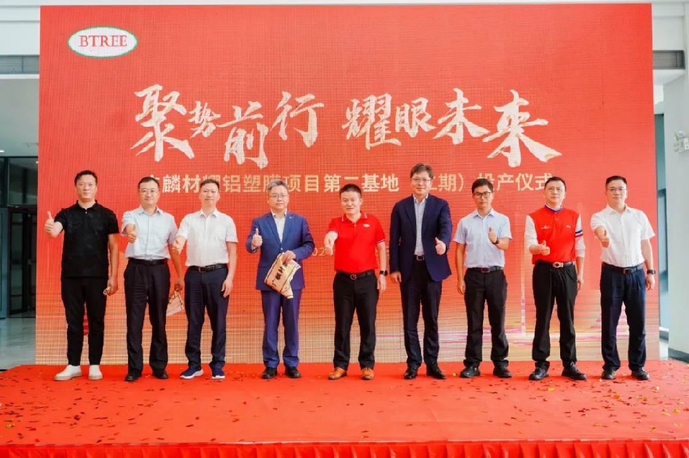 搶灘全球動力市場 國產(chǎn)鋁塑膜“崛起”